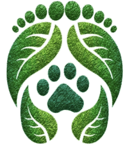 huellaverdeolvera.org